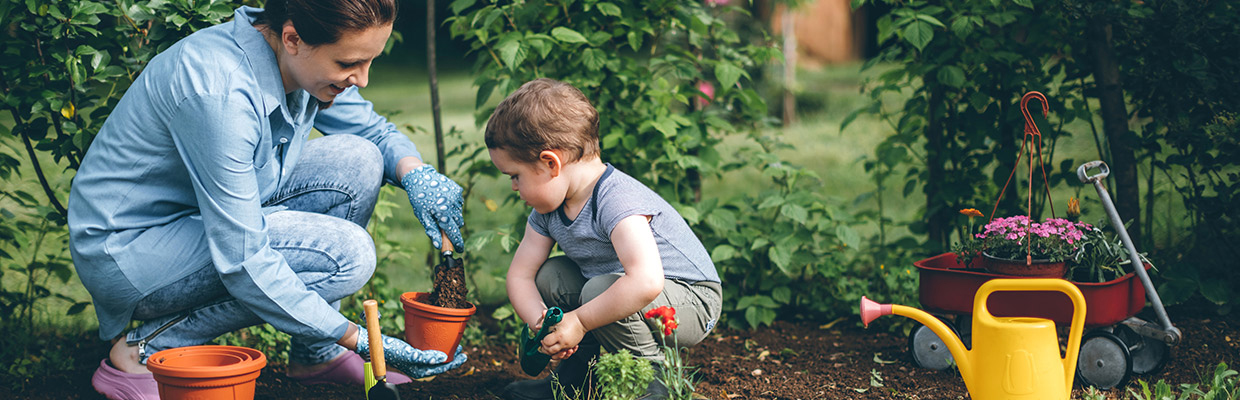 Gardening