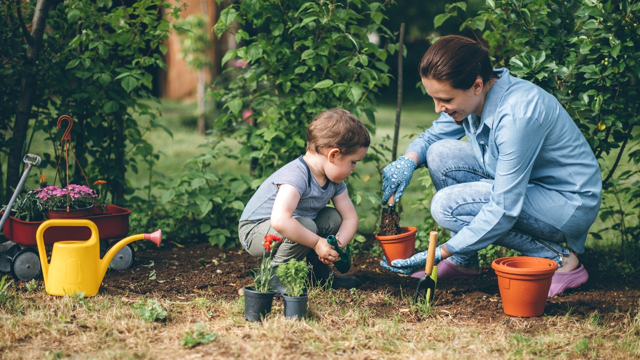 Gardening